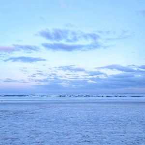 Meet your Posher, Travis